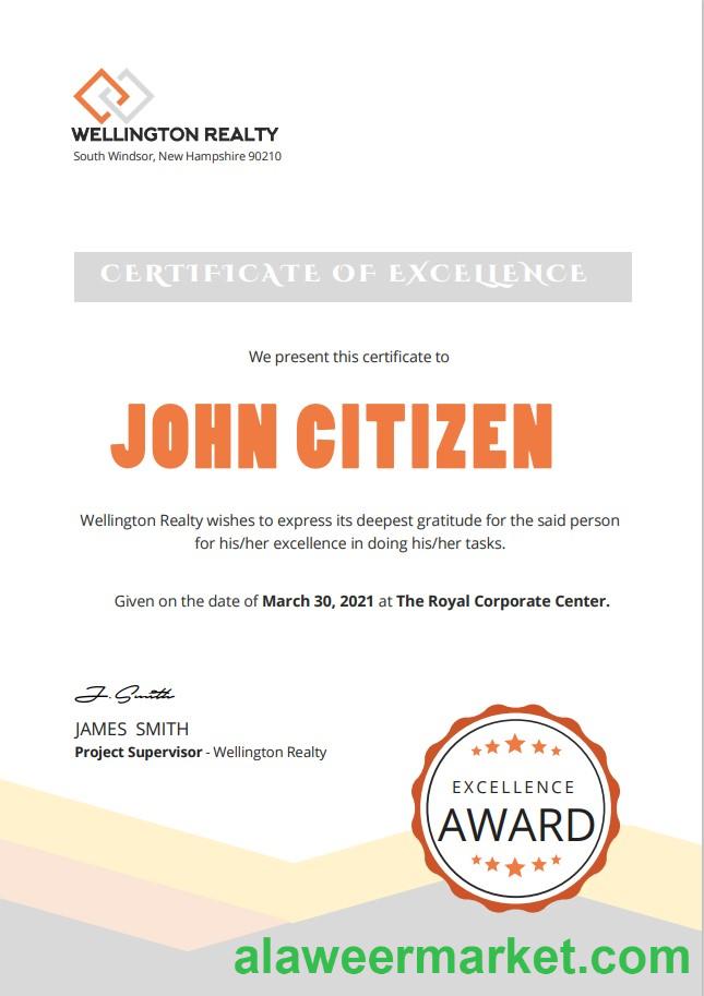 USA Excellence cert Version 2